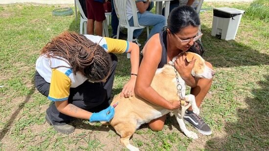 Foto: infonet.com.br
